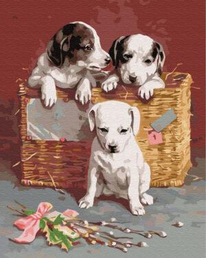 Животные, птицы